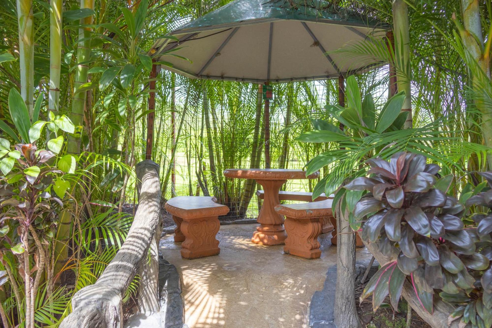 Hotel Relax Termalitas - Thermal Water La Fortuna 外观 照片