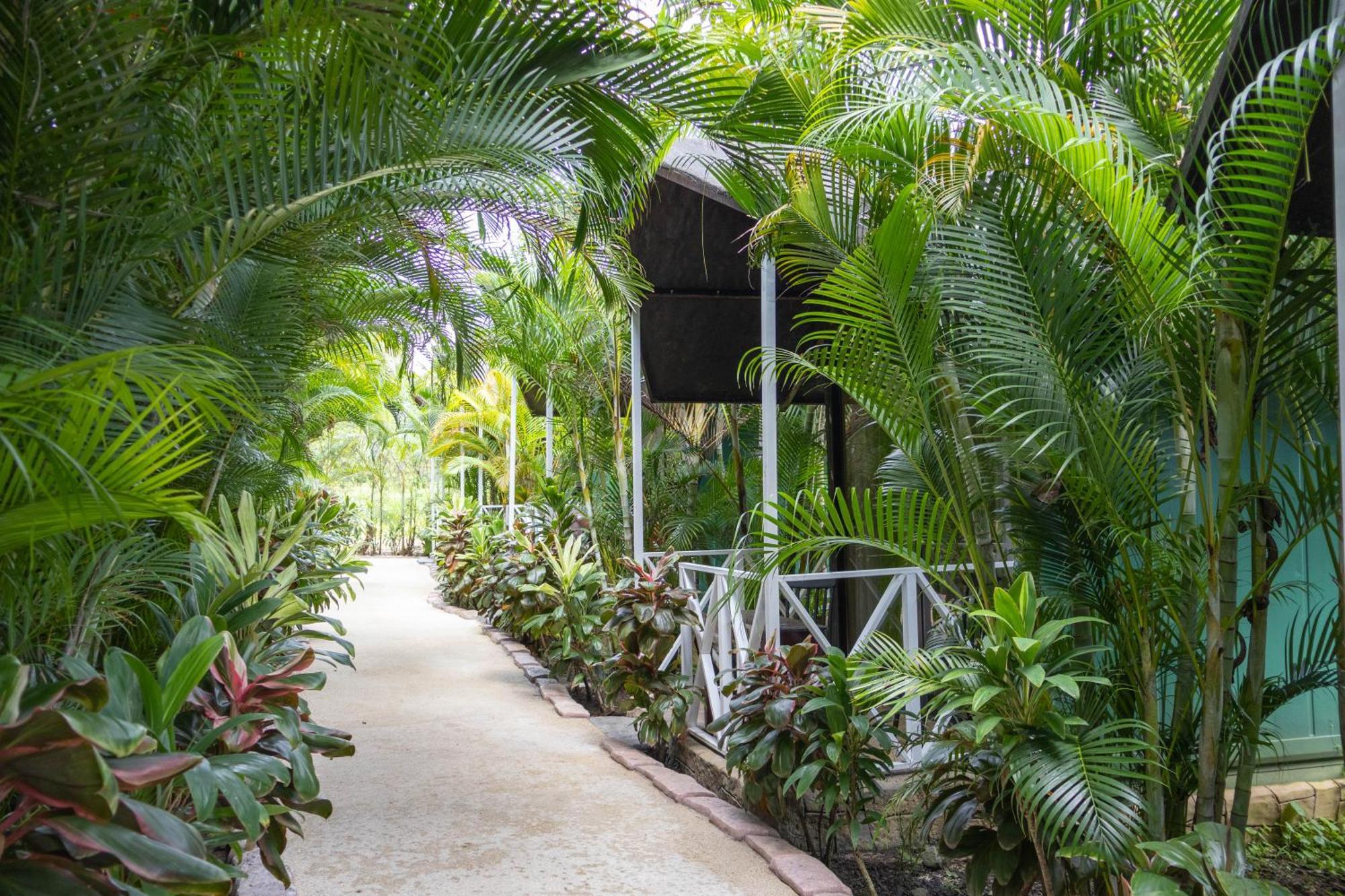 Hotel Relax Termalitas - Thermal Water La Fortuna 外观 照片
